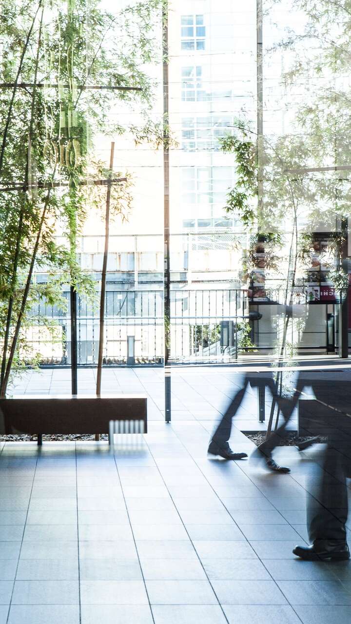 BDO Japan’s science-based net-zero targets validated by SBTi