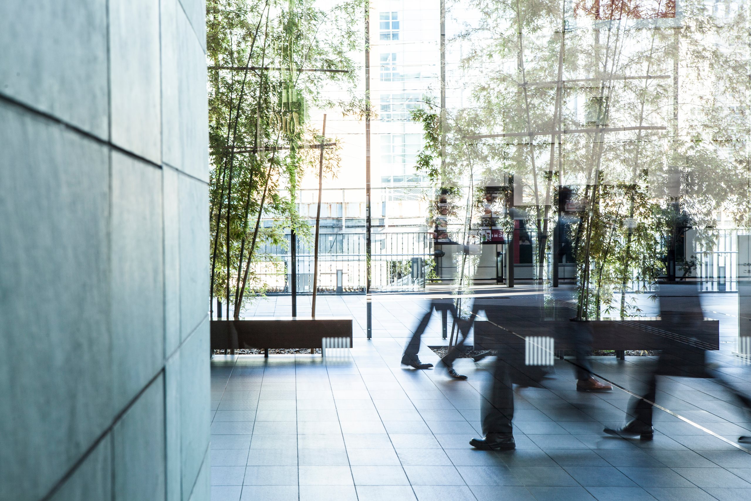 BDO Japan’s science-based net-zero targets validated by SBTi
